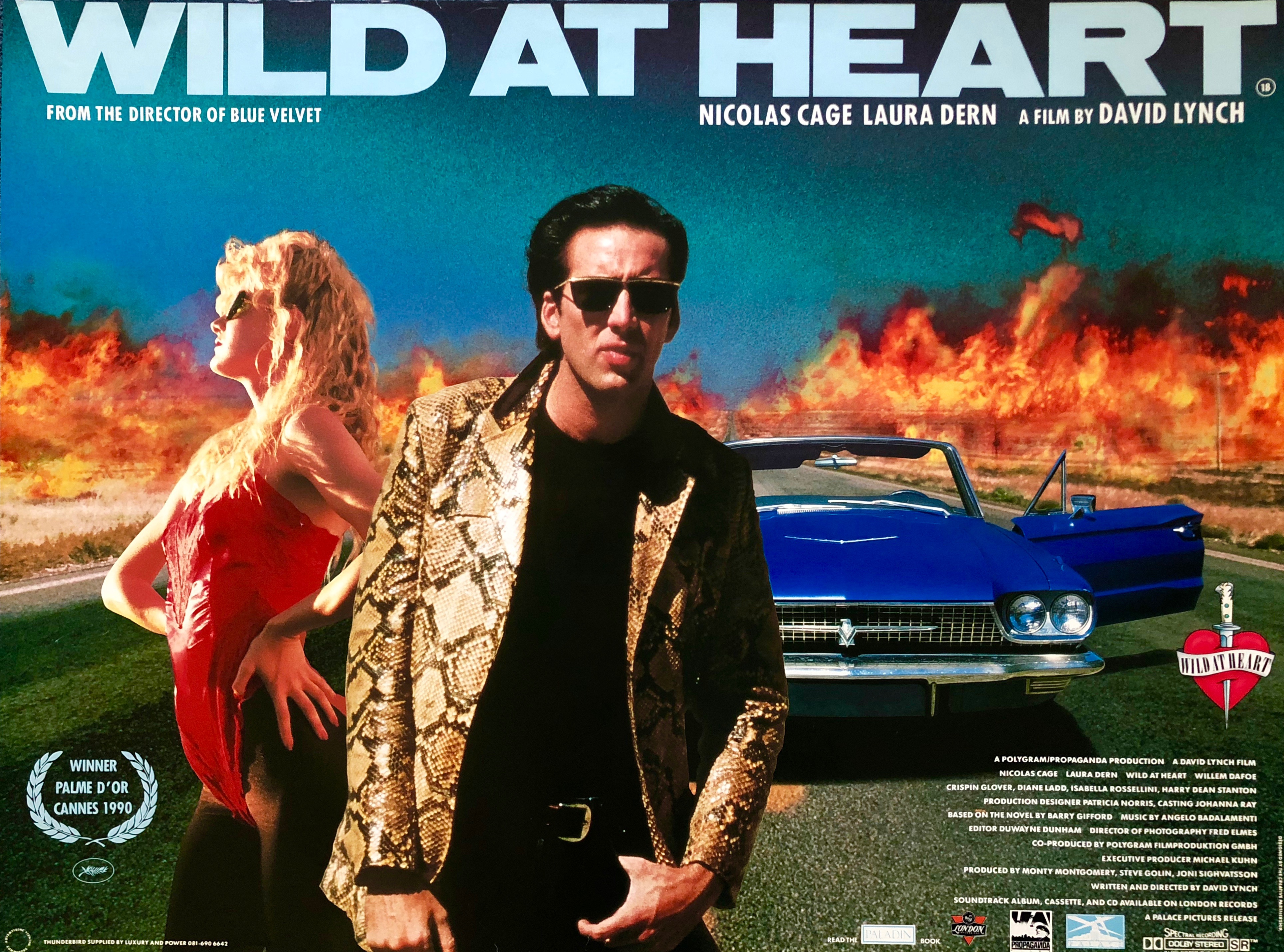 THINGS TO DO > MOVIE TIMES Wild at Heart