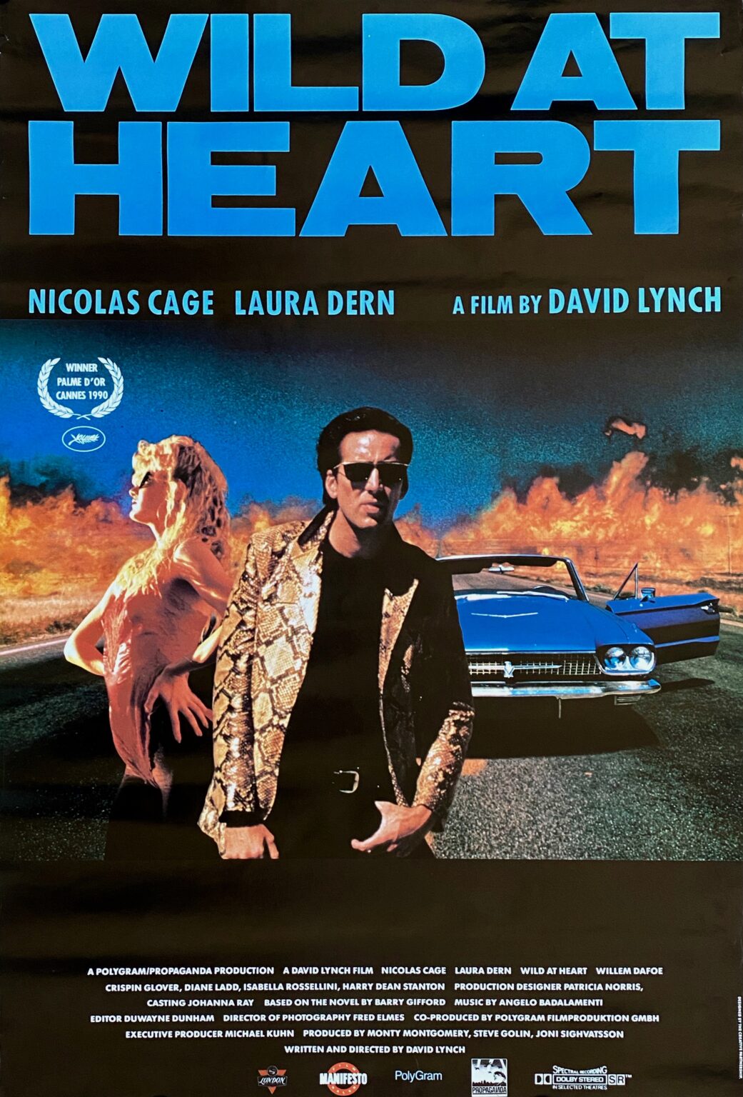 wild at heart filming with animals