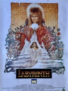 Labyrinth Video Movie Poster